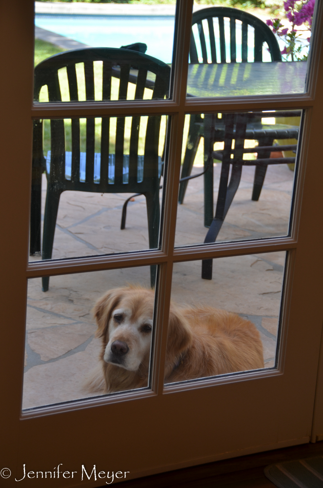 Bailey had to stay outside, but she was so good.