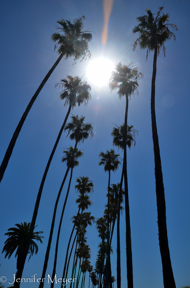 Next, we went to the Santa Monica promenade.