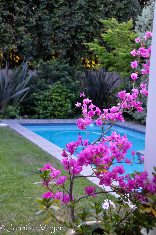 They even have a pool!