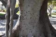 After breakfast, they took us on a walk in Santa Monica.