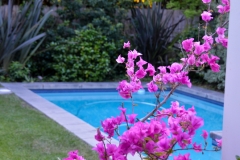 They even have a pool!