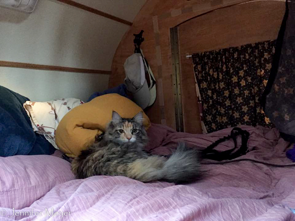 Gypsy liked our little bed-house.