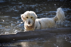 Walker loves the water.