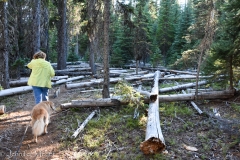 Before dinner, we took both pets for a long hike.