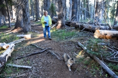 Gypsy loves hiking a trail.