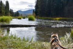 She's not exactly a River Cat.