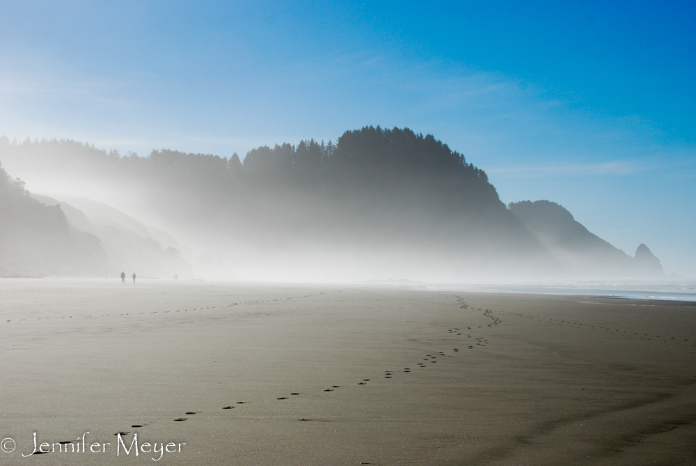 Tracks in the sand.