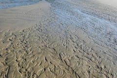 More interesting patterns in the sand.