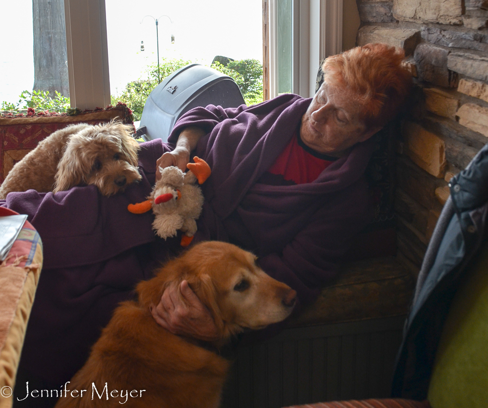 Quiet time in the morning. (Zoe and Bailey are the best of pals.)