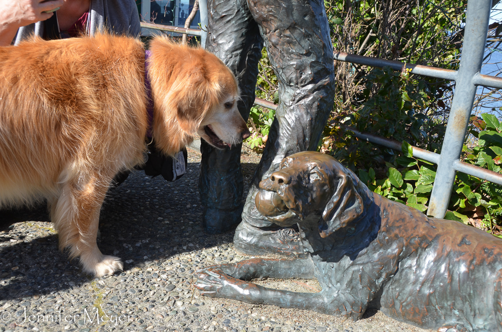 Bailey wasn't sure what to make of the bronze dog.