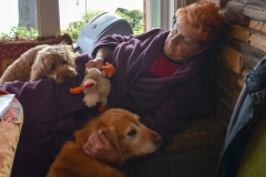 Quiet time in the morning. (Zoe and Bailey are the best of pals.)