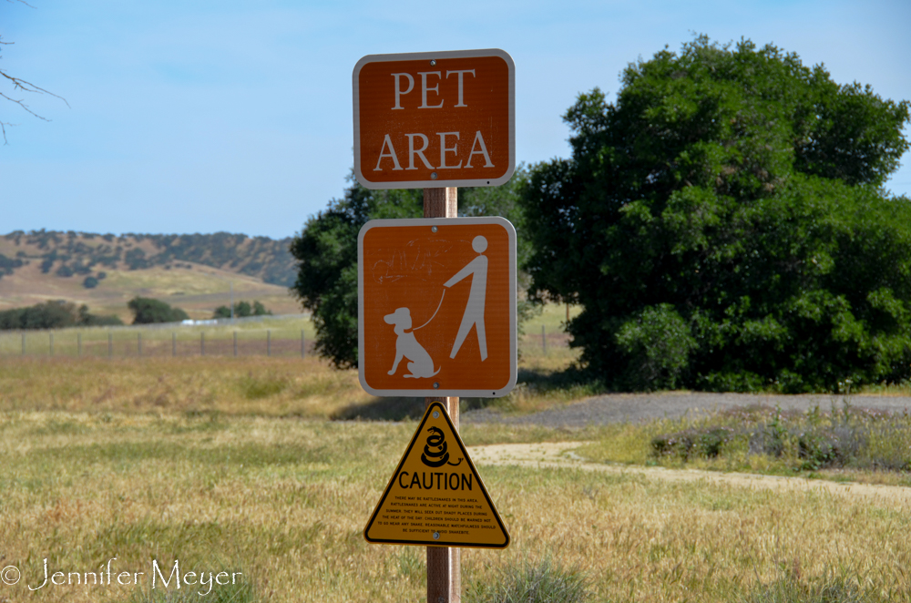 Really? We have to walk the dog in the rattlesnake field?