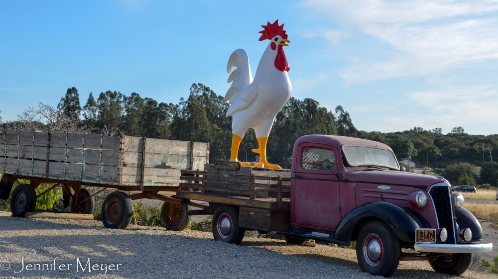 Truck and rooster.