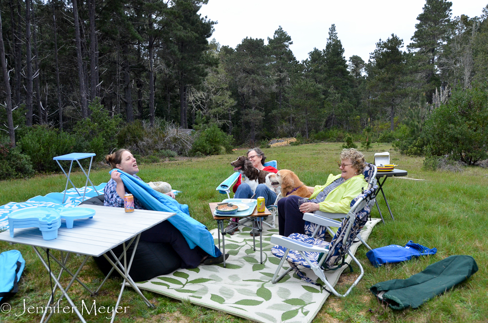 We all kicked back in the meadow.