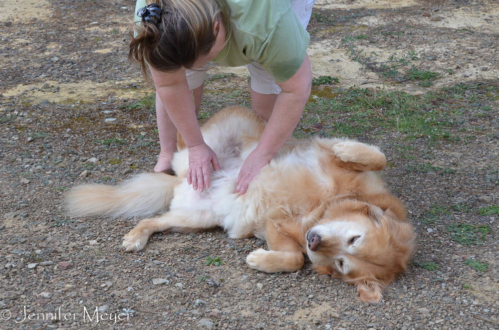 We had to check the dogs for ticks.