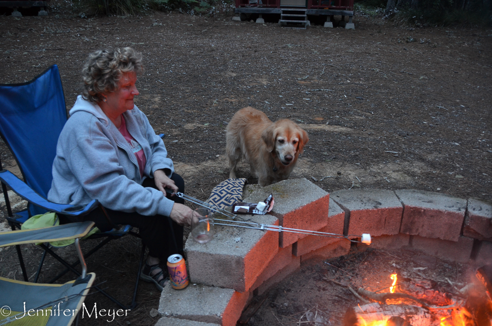 Bailey anxiously awaits her roasted marshmallow.