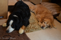 The girls were ready for bed.