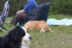 The girls were content to lay around.