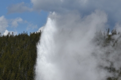 Our first Yellowstone stop was Old Faithful.