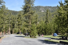 We got a campsite in Madison Campground.