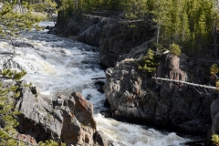 After dinner we took a drive to Firehole Falls.