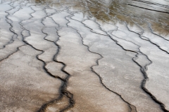 Veins in the water.