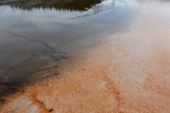 Orange created by bacteria.