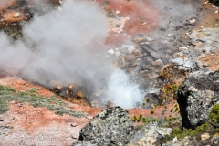 Tiny geyser.