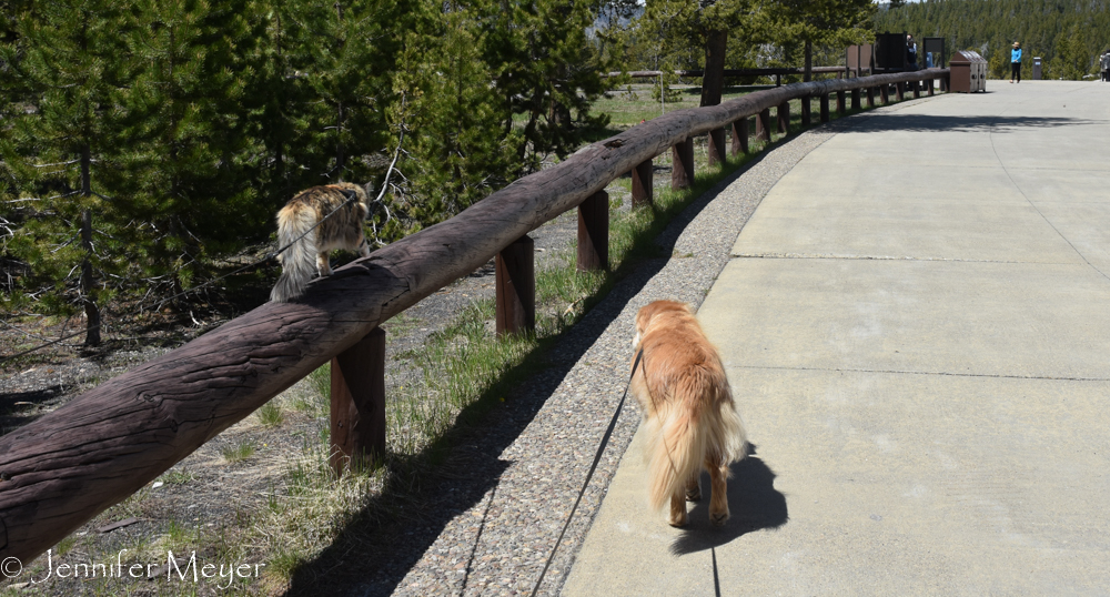 Walking to the lodge.