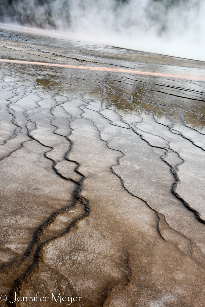 Veins in the water.