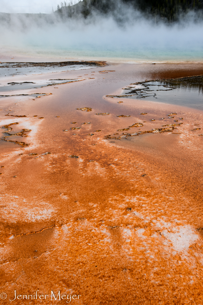 Orange scum and steam.