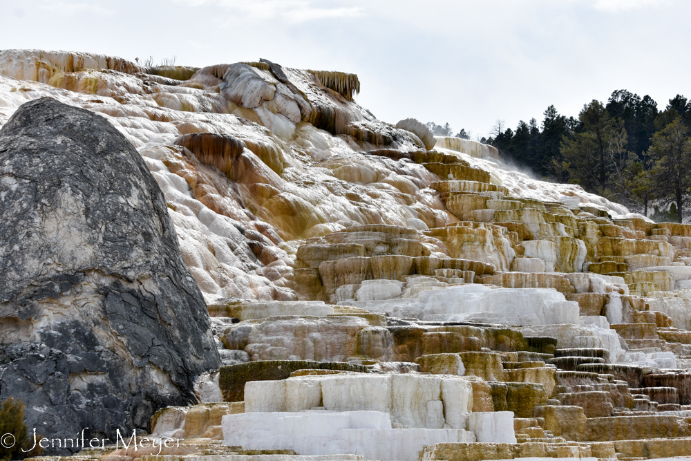 More of Mammoth Hot Springs.