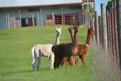 They were very curious about us.