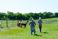 Kathleen took us out for an introduction.