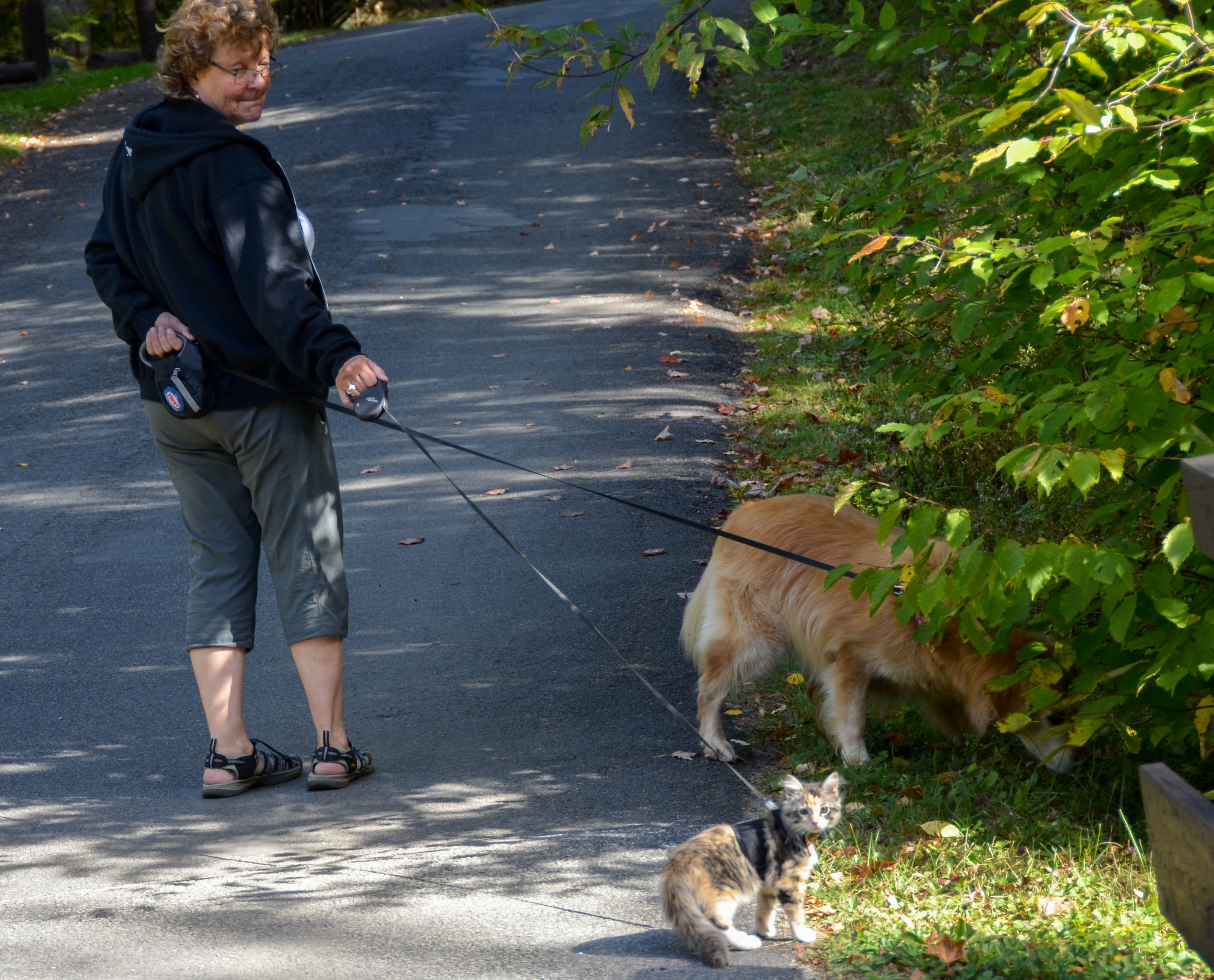 Taking the kids for a walk.