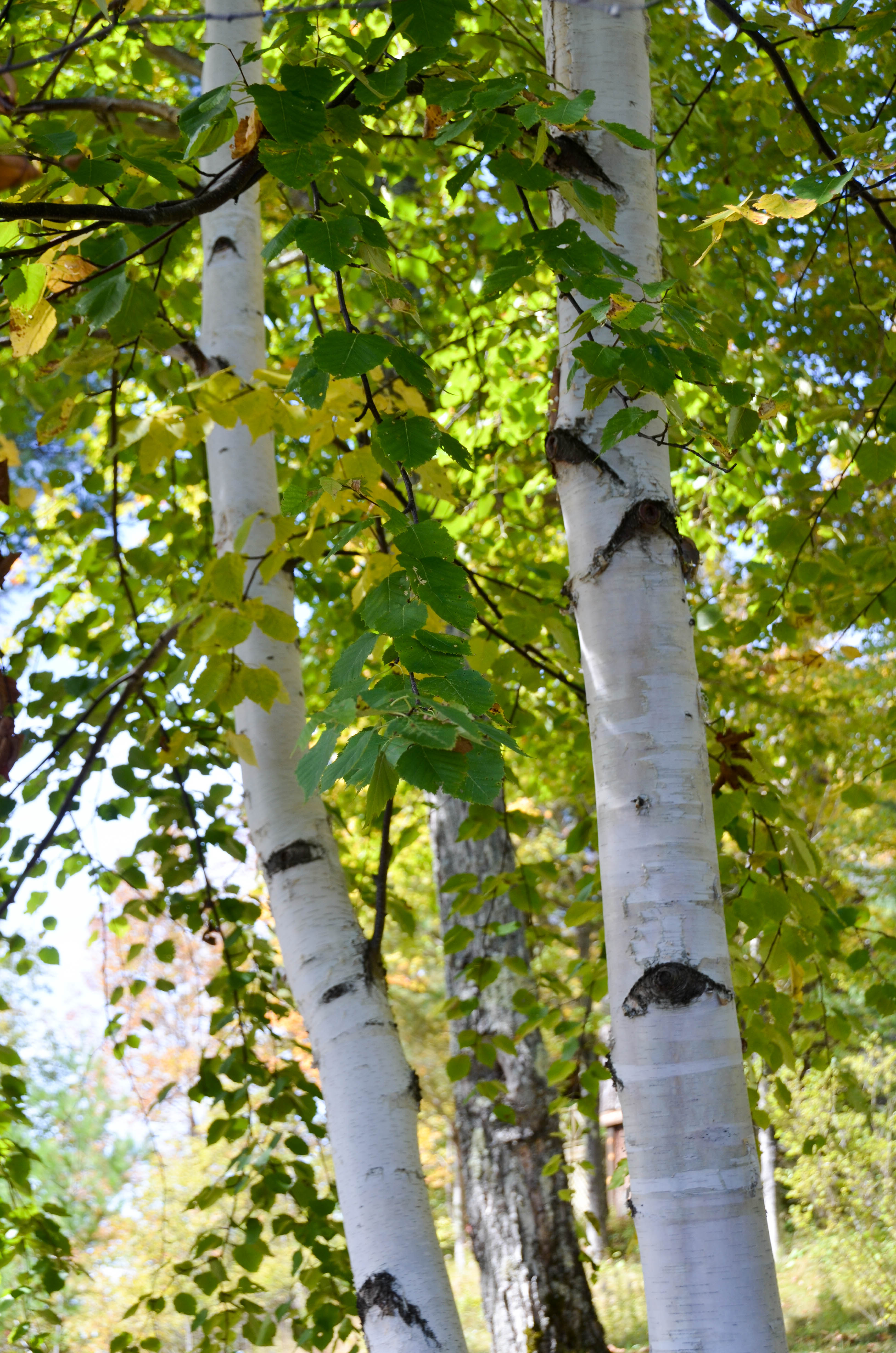 And beautiful grounds.