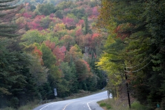 We saw our first glimpse of fall color in the Adirondacks.