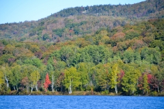 And trees just turning.