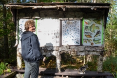 Gypsy studies the fish chart.