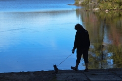 Gypsy considers a swim.