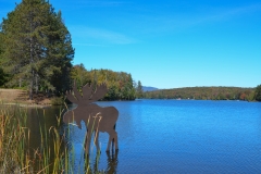 Moose cutout in the lake.