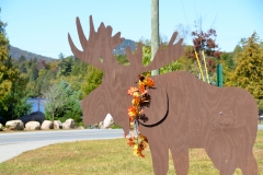 Moose with a lei of autum leaves.