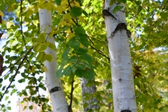 And beautiful grounds.