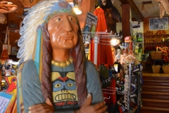 Indians and stuffed bears seem to be a theme.