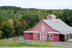 The alpaca barn.