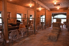 Inside, the barn is clean and cozy.