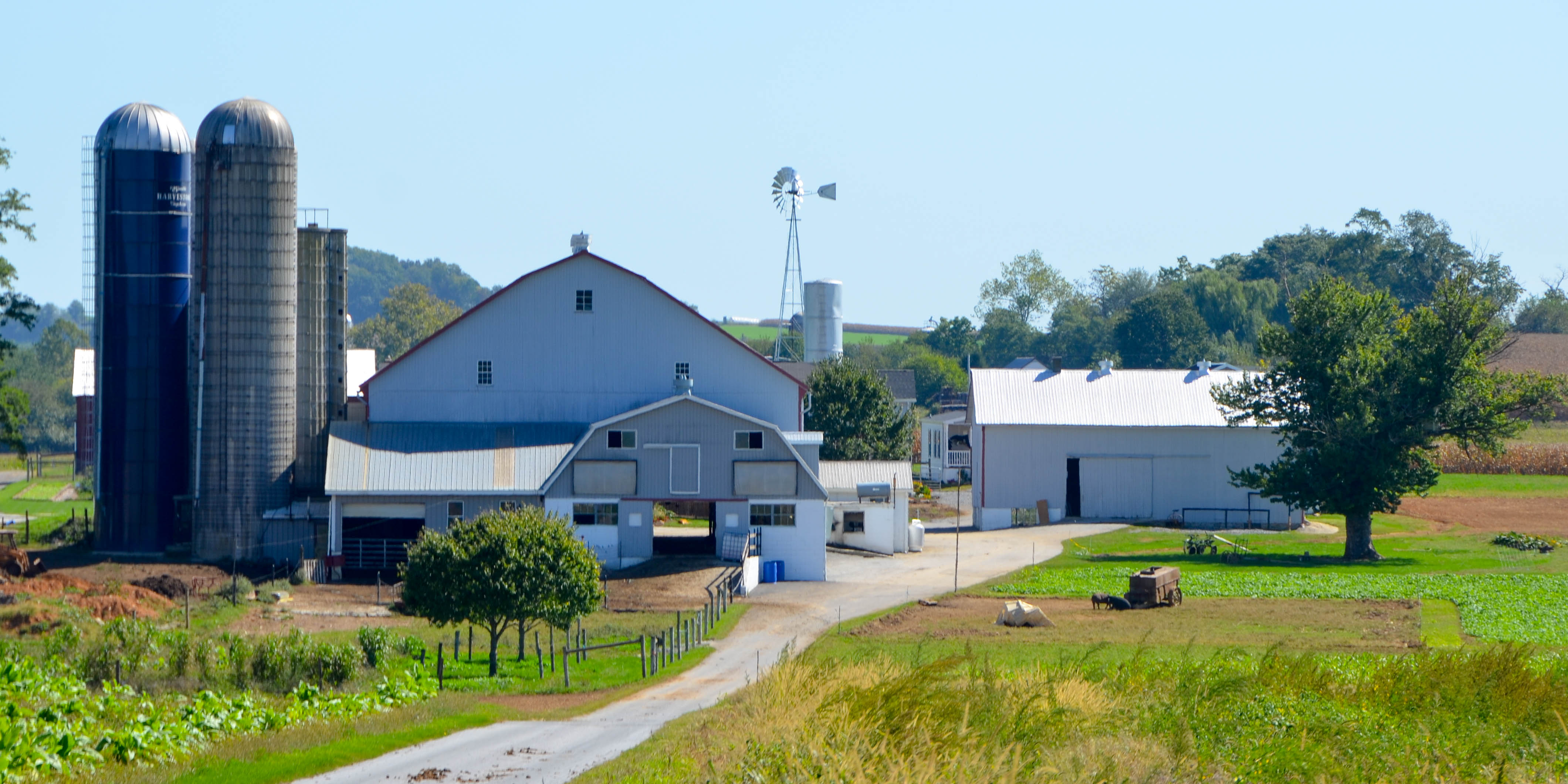 He drove us beyond power poles into Amish farm country.