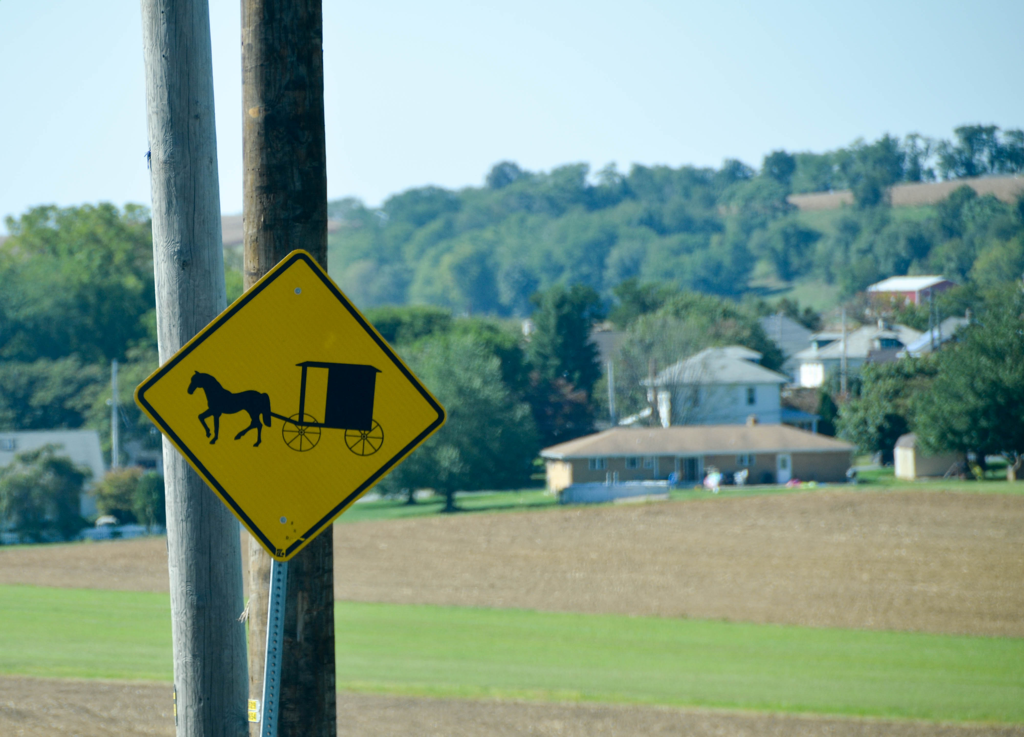 Watch out for buggies...