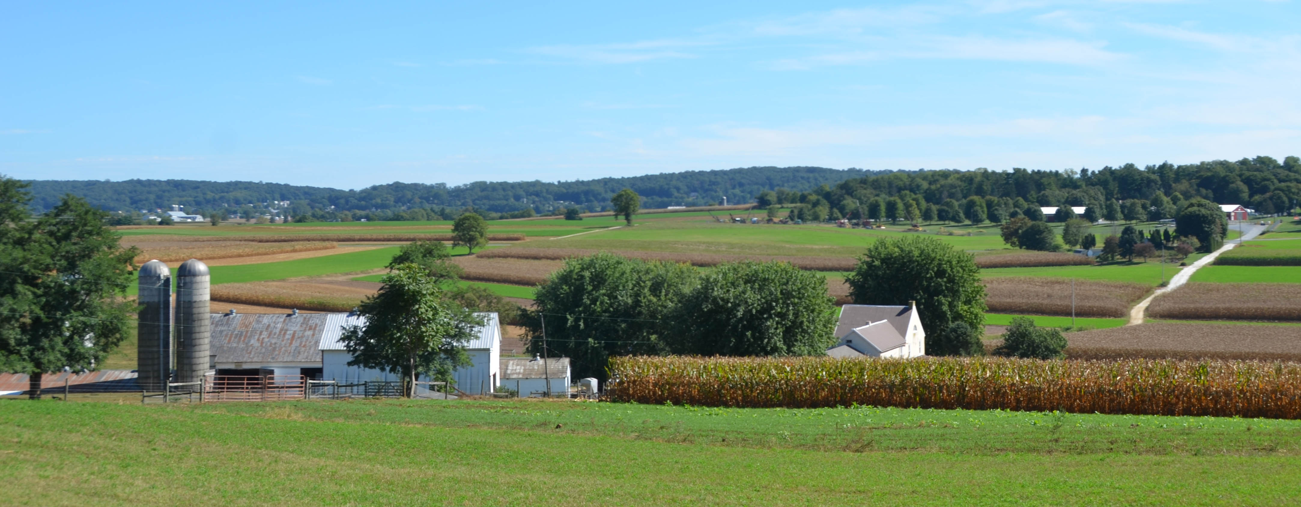 It was a warm afternoon and the countryside was beautiful.