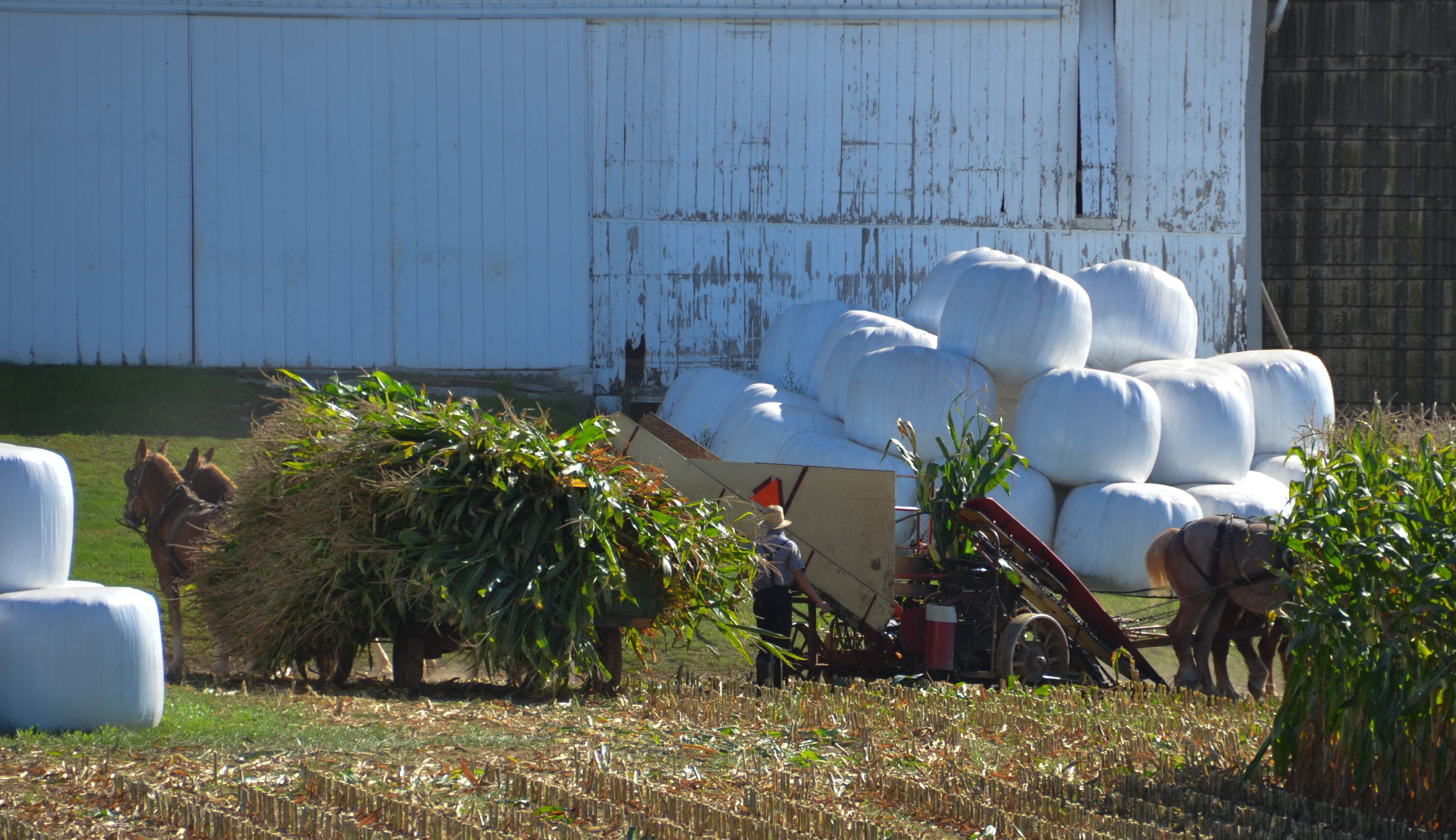 Another threshing team.